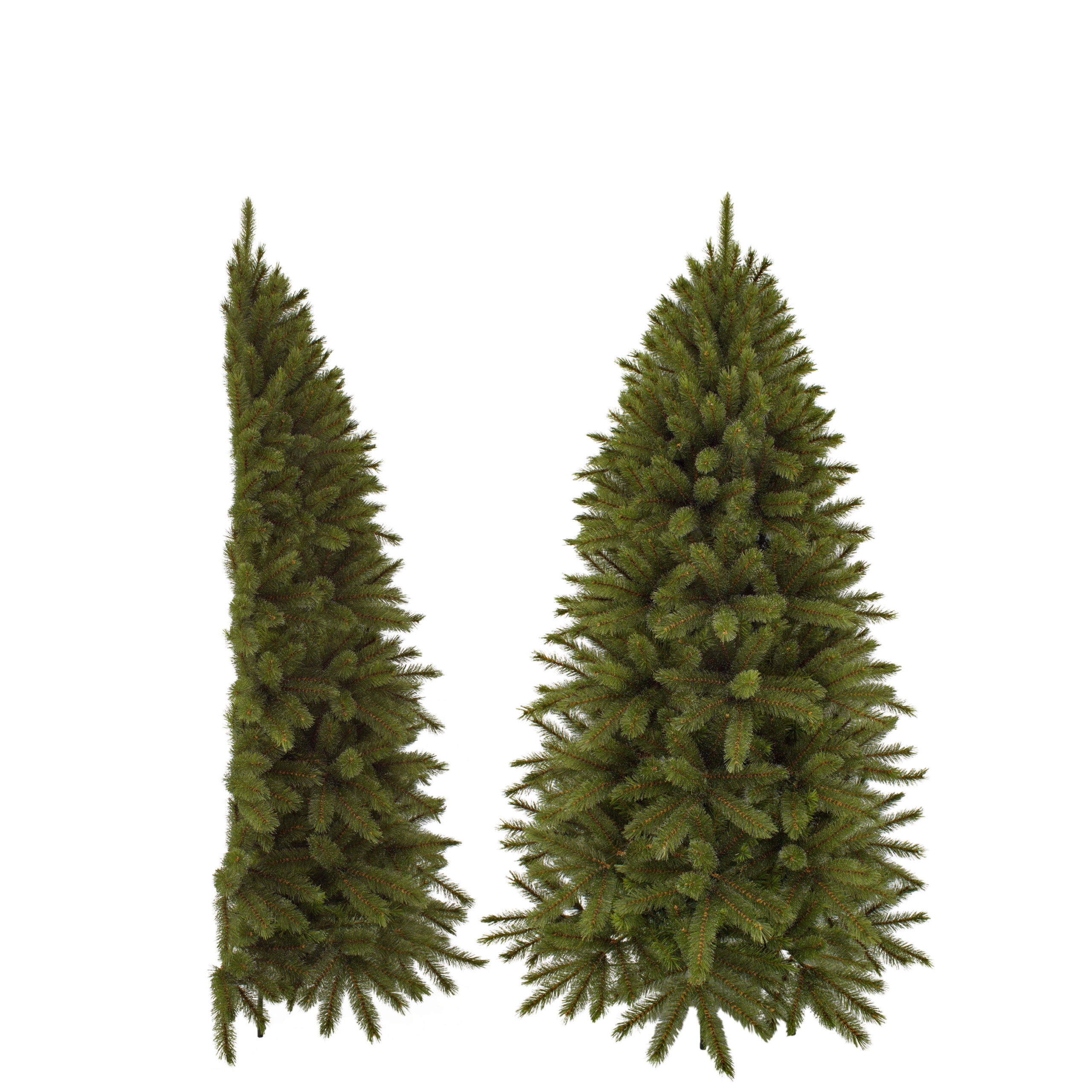 TRIUMPH TREE Forest fr. halfwall d107h185cm grn