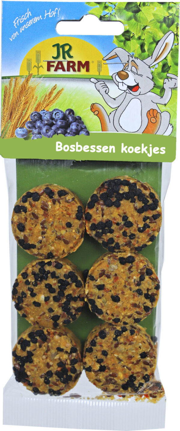 JR FARM Bosbessenkoekjes 80g 07330