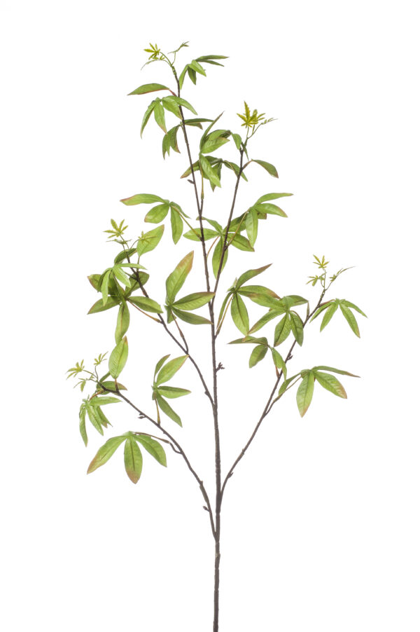 Schefflera branch green 117cm