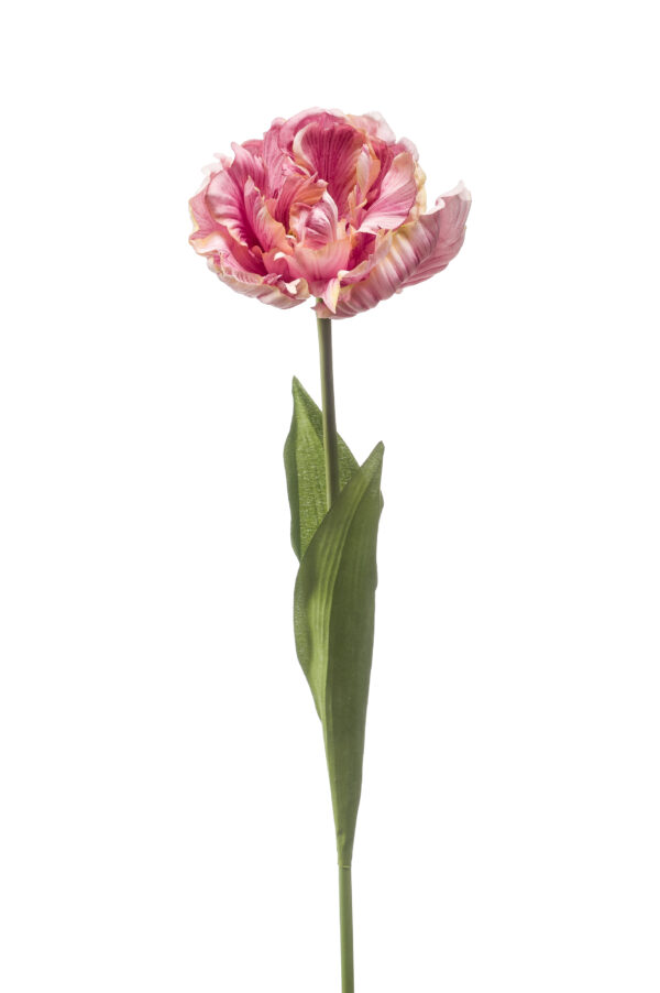 Tulip paris spray lt purple 66cm