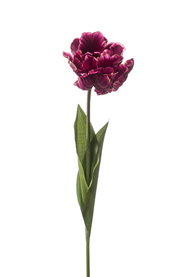 Tulip paris spray dk purple 66cm