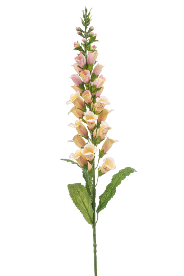 Digitalis spray lt yellow 97cm