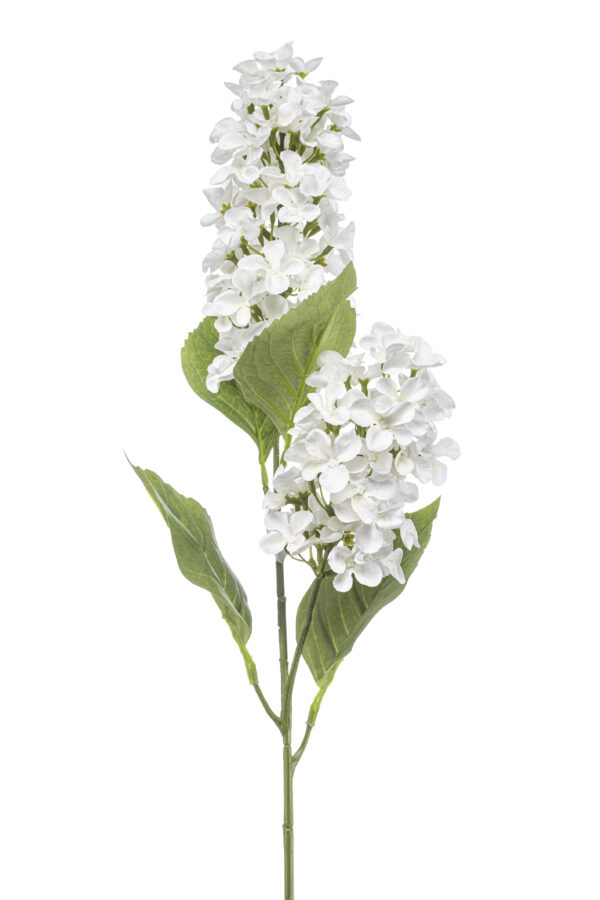 Hydrangea paniculata spray x2 white 76cm