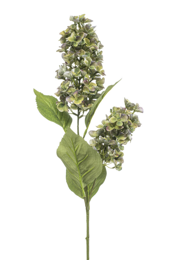 Hydrangea paniculata spray x2 green 76cm