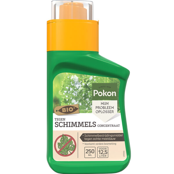 Schimmelbestrijder conc 250ml