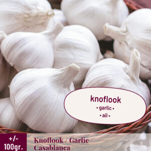 KNOFLOOK CASABLANCA