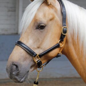 Harry's Horse halster leder