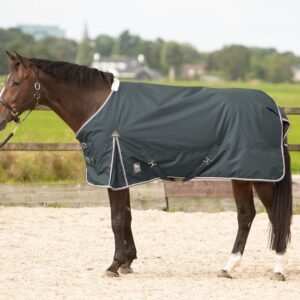 Harry’s Horse Outdoordeken Thor 100gr maat 165cm