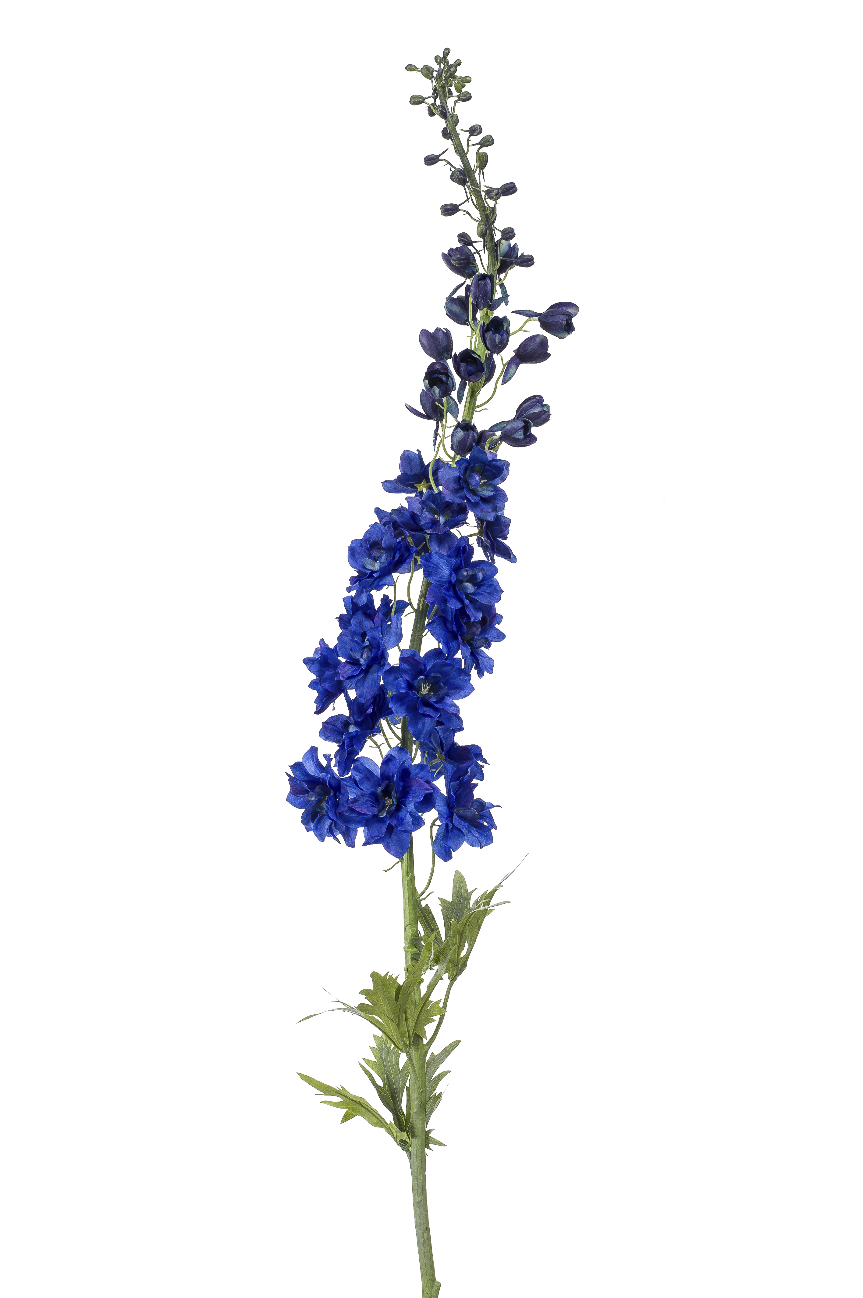 zijden Delphinium XL donker blauw 130 cm