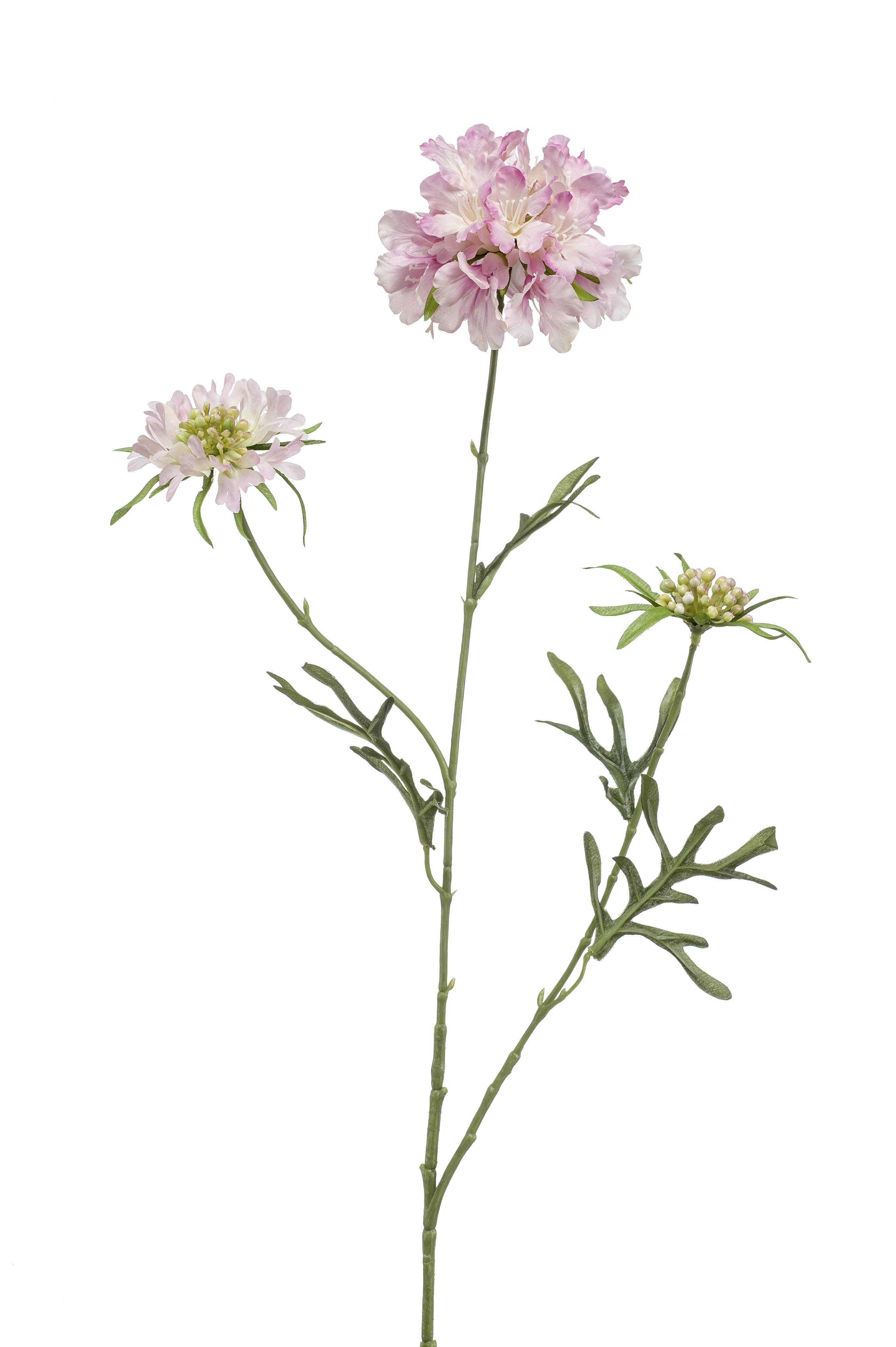 zijden Scabiosa 3 bloemen roze 77 cm