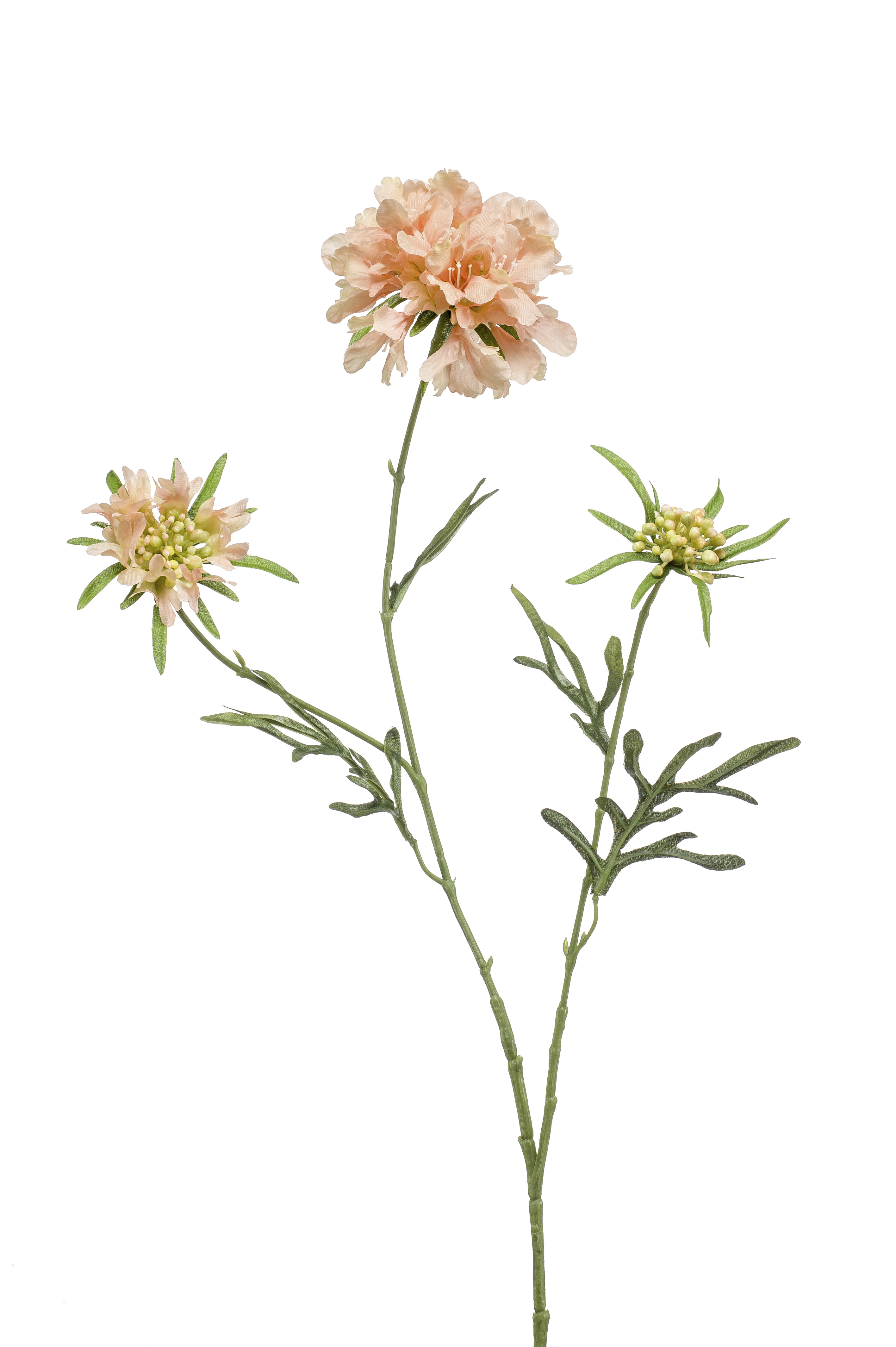 zijden Scabiosa 3 bloemen perzik 77cm