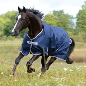 Bucas Freedom Turnout 300gr 140/ 191  Navy/Silver