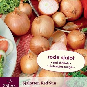 Sjalotten red sun 250g